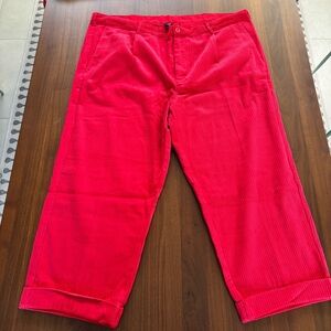 Rowing Blazers x Target Men’s Red Wide Wale Cuffed Corduroy Pants - Size 46W